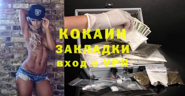 кокс Алексин