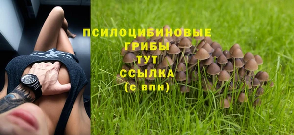 гидра Абдулино