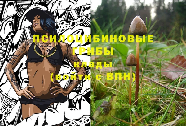 соль ск Абинск