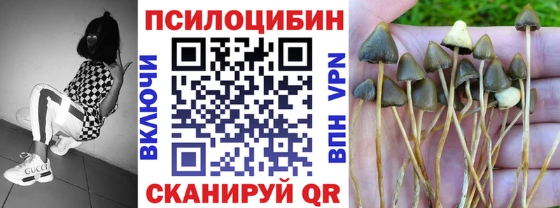 Псилоцибиновые грибы мицелий  Зарайск 